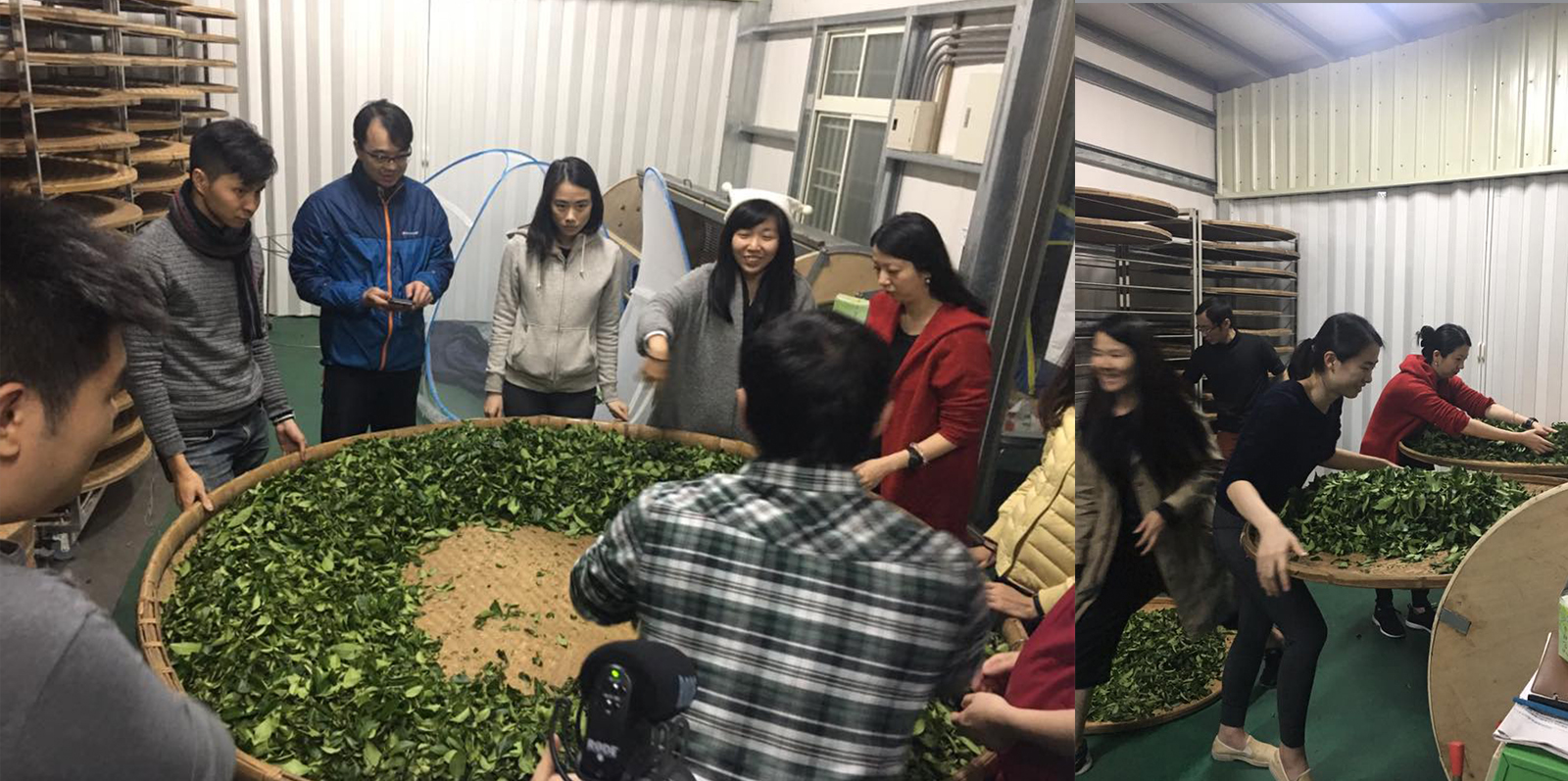 木+木 茶文化遊學團 由中午做茶到通宵